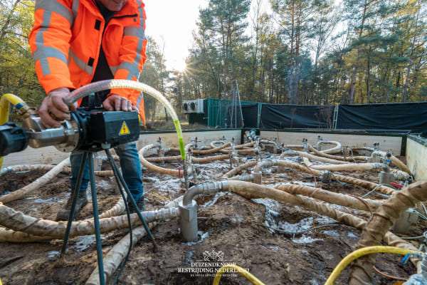 Duizendknoop Bestrijding Nederland