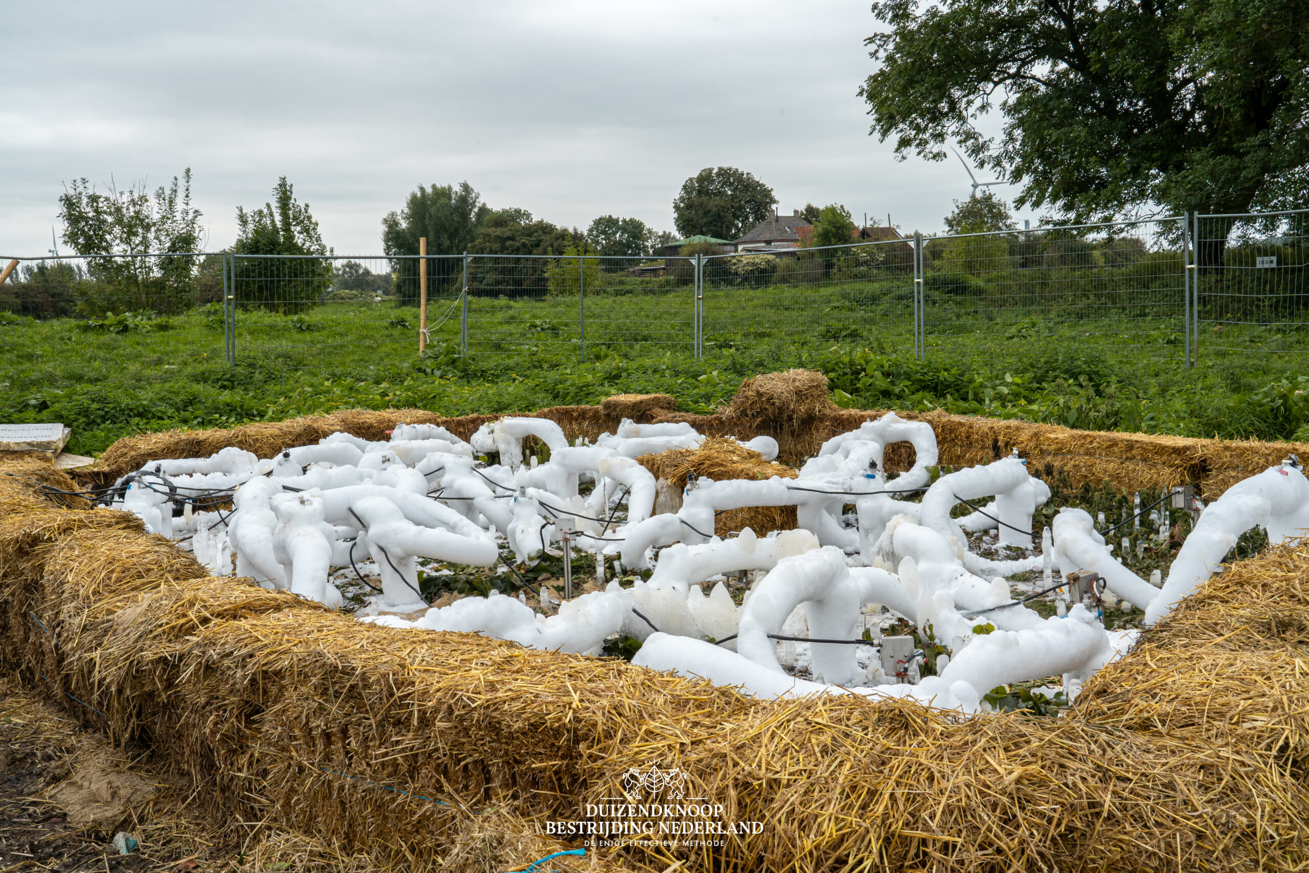 duurzaam toekomst ecologie